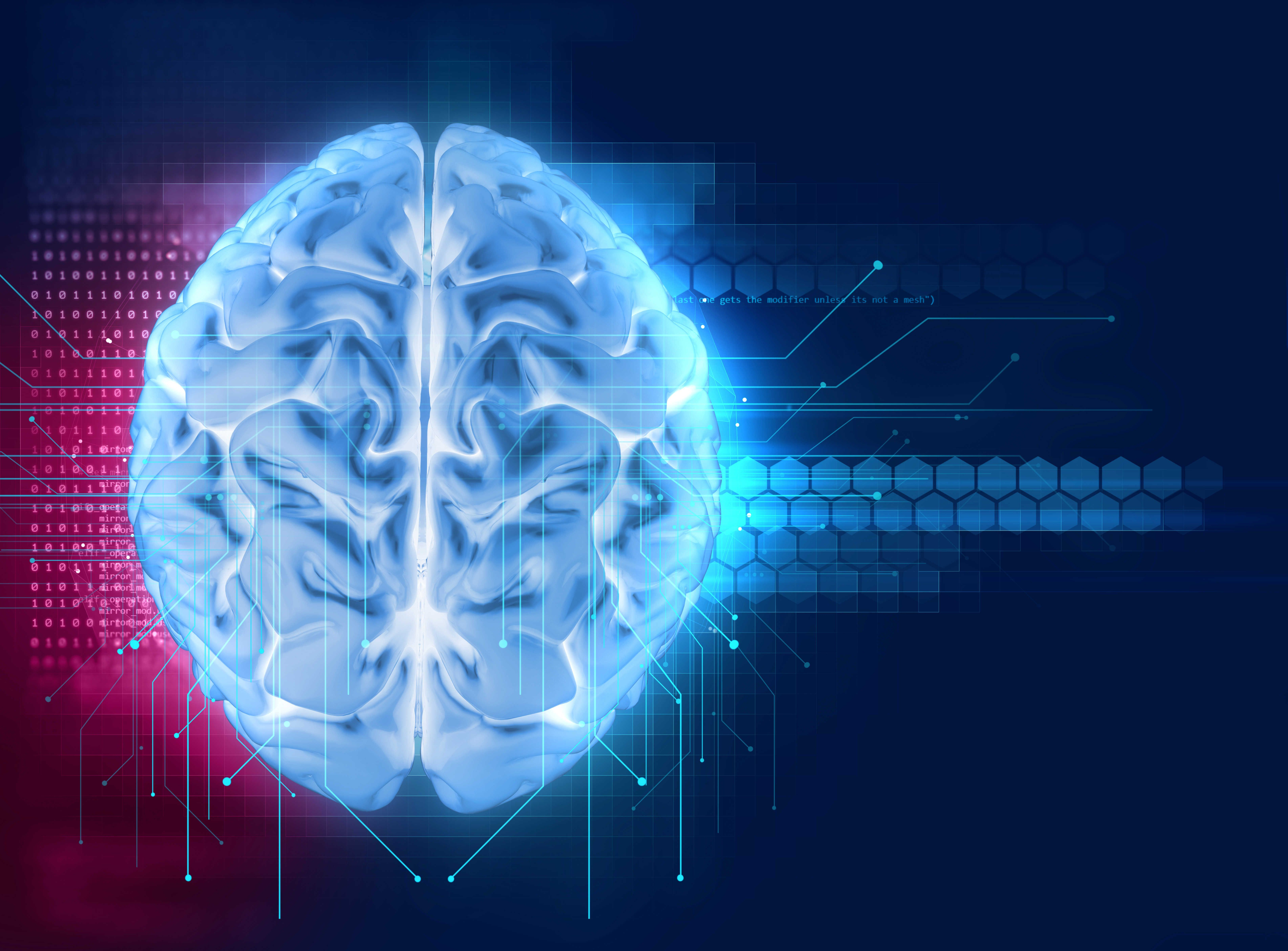 How Are Heart and Brain Health Related?