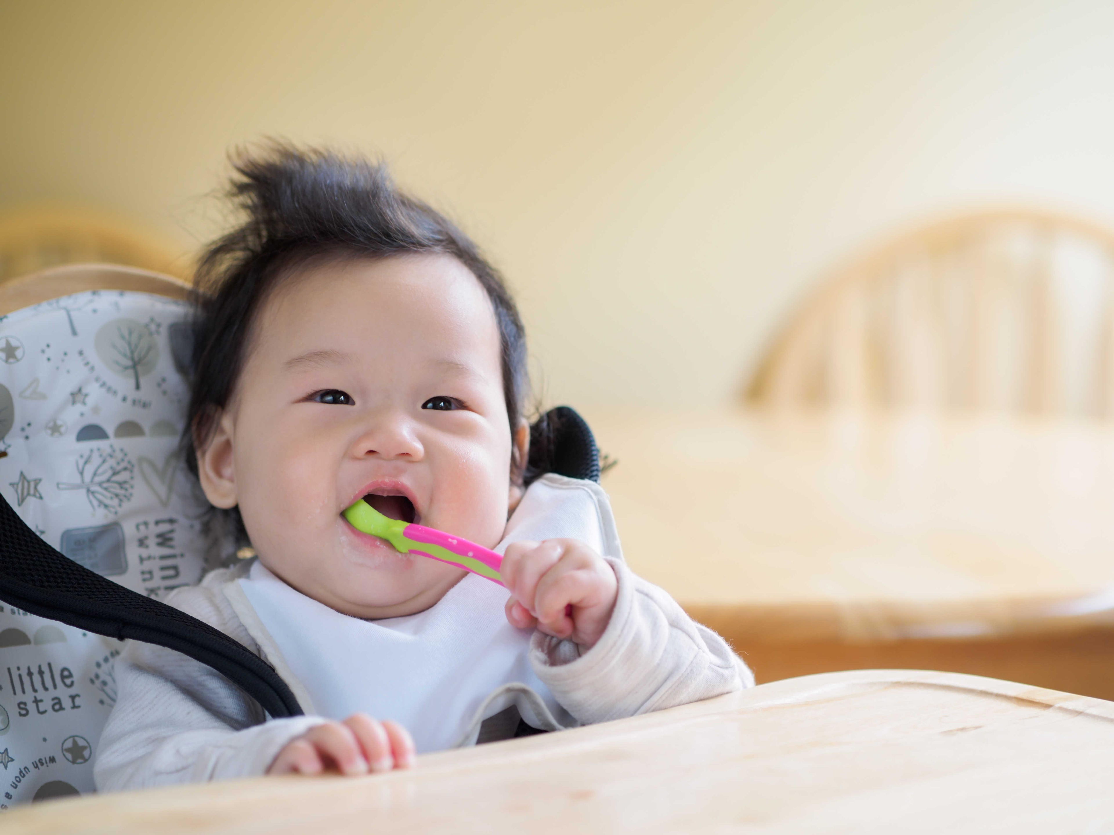 What You Should Know When Feeding Your 8-12 Month Old?