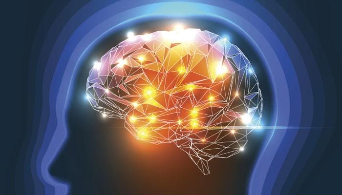 Memahami Bagaimana Otak Berfungsi