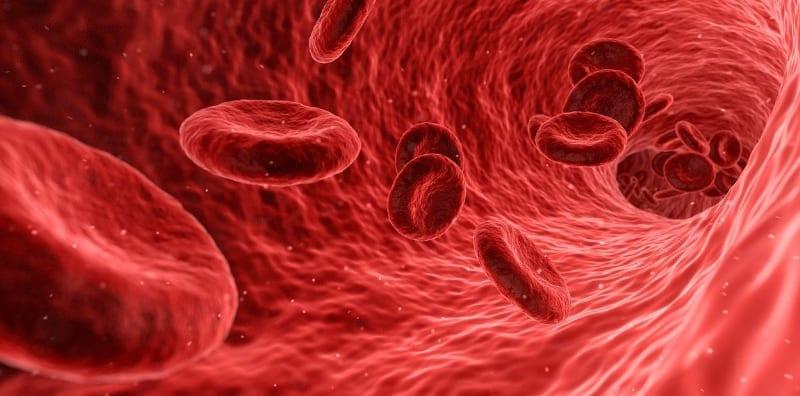 Bleeding During Pregnancy