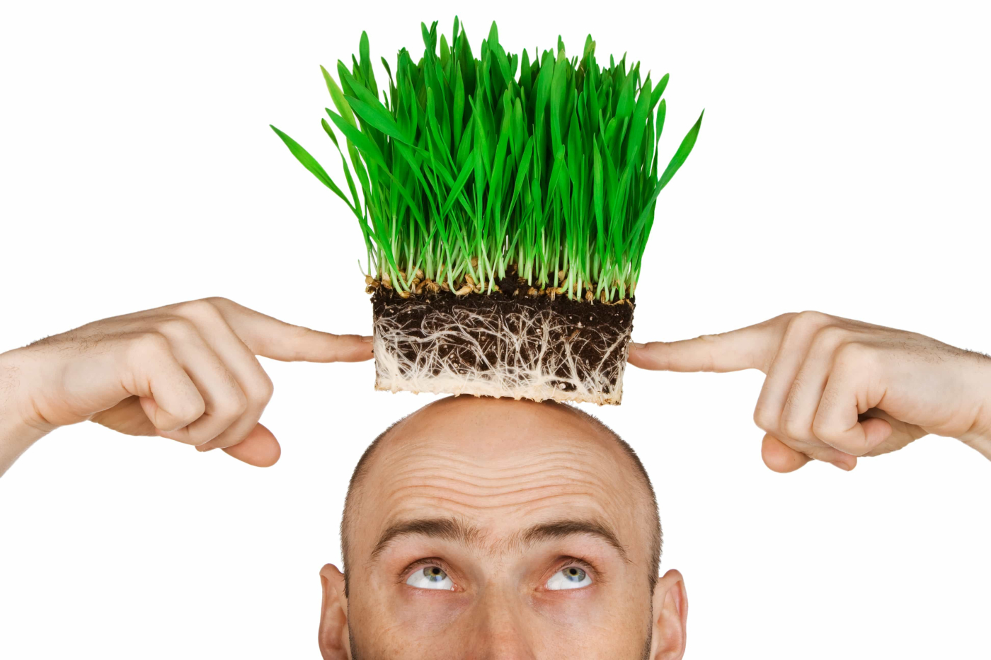 Mencegah Kepala Botak