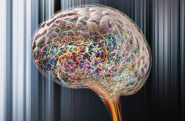 5 Makanan Terbaik Untuk Merangsang Otak