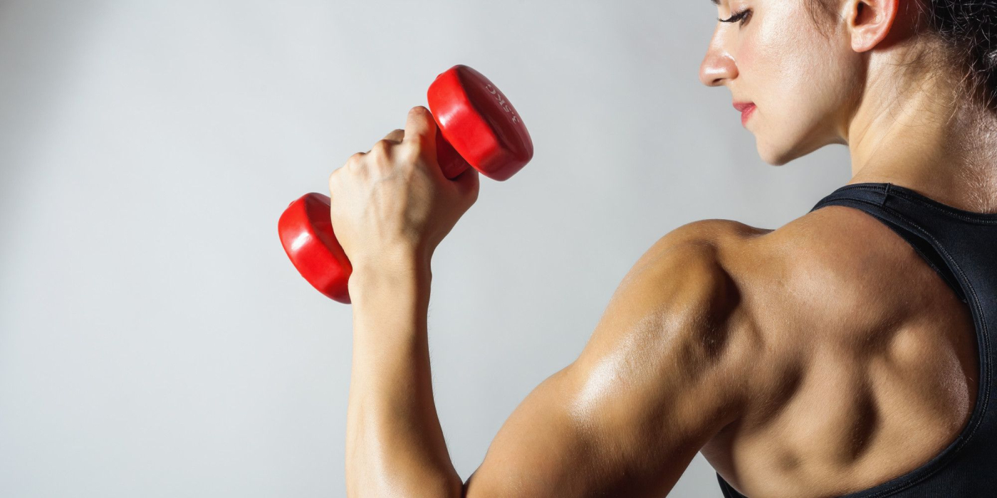 Myths about Muscle Building