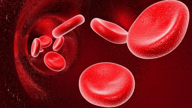 Status Rh dan Kehamilan 1: Aktiviti Sensitizasi