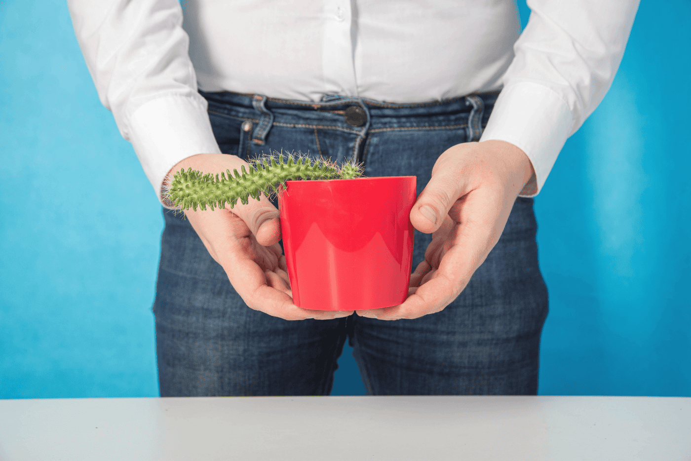 Saiz 2x Lebih Besar Jika Lelaki Berzakar Kecil Terangsang? Ini 15 Fakta Menarik 'Anu' Lelaki!