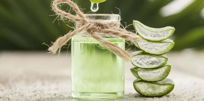 Rupanya Ini 5 Sebab Lidah Buaya Biasa Ada Dalam Produk Kecantikan, Khasiatnya Tiada Lawan!