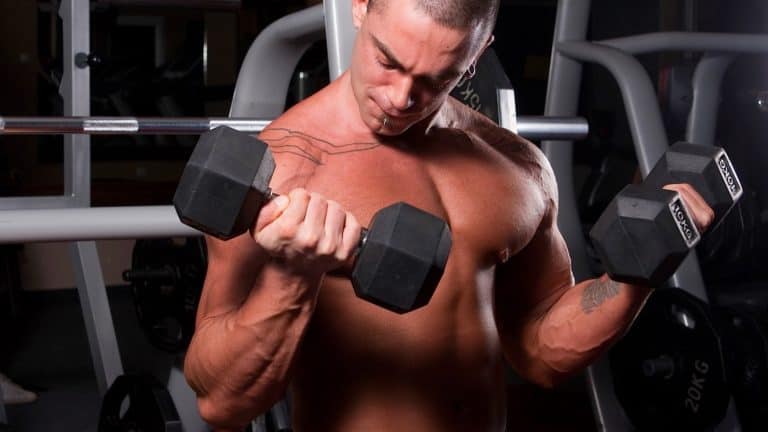 11 Kumpulan Otot Utama