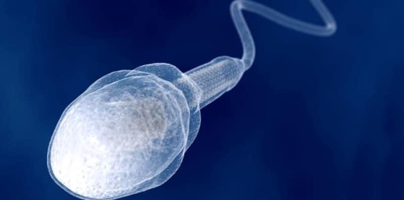 5 Tanda Sperma Anda Sihat! Salah Satunya Berkaitan Dengan Pakaian Dalam?