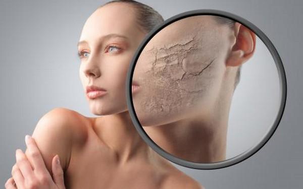 Pelembap: Pilihan untuk Kulit yang Lebih Lembut