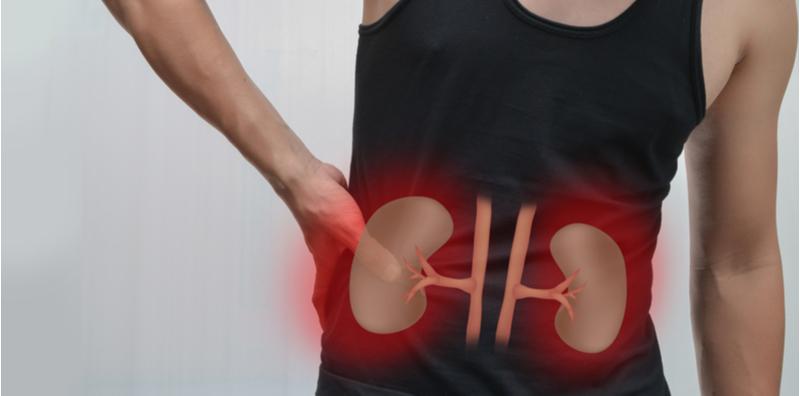 Glomerulonefritis Kronik