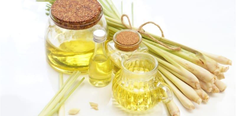 Apa Yang Anda Perlu tahu Tentang Minyak Serai Wangi