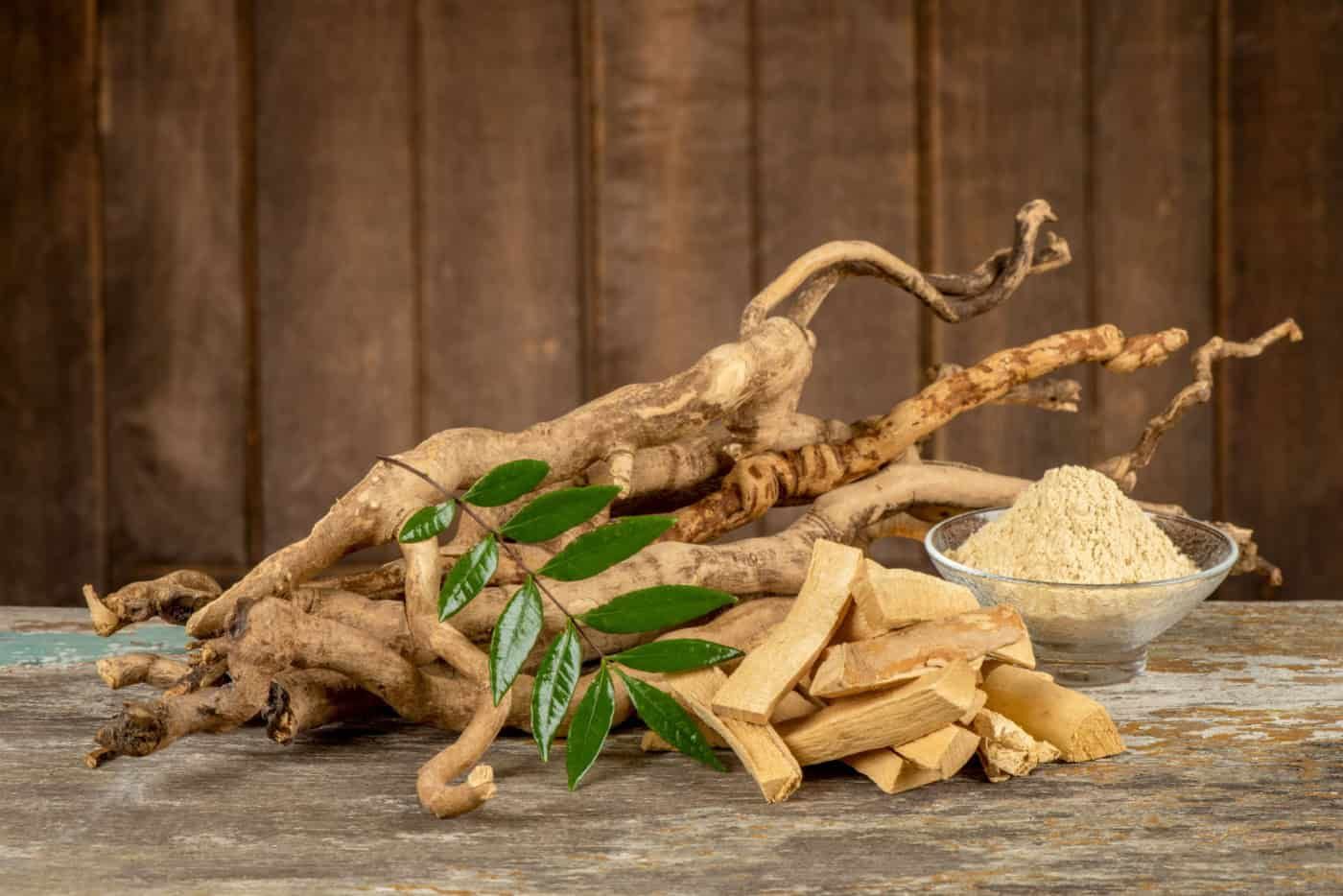 Khasiat Tongkat Ali Untuk Orang Lelaki, Antaranya Menguatkan Tubuh Badan?