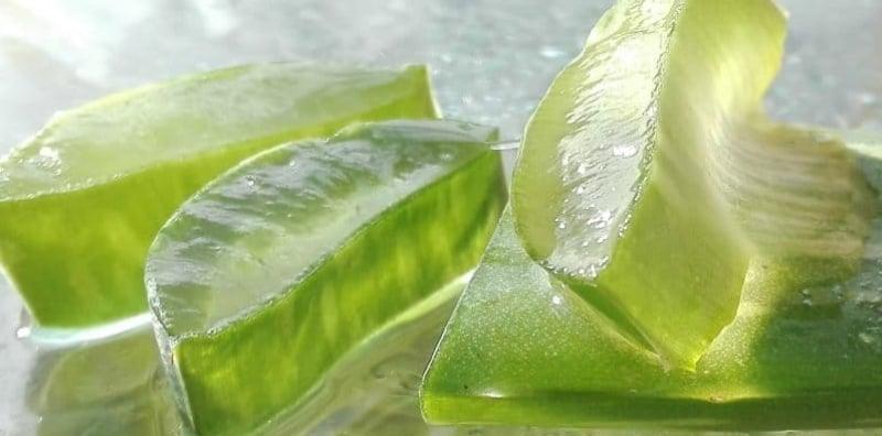 Lidah Buaya: Bernutrisi Sebagai Makanan dan Ubatan