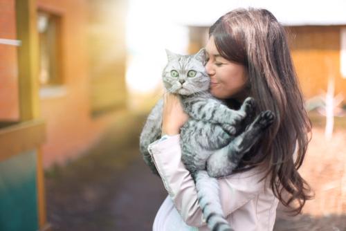 Terapi Kesihatan Melalui Haiwan Peliharaan