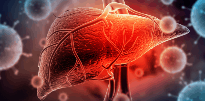 Hepatitis: Perbezaan Antara Hepatitis B dan Hepatitis C Kronik