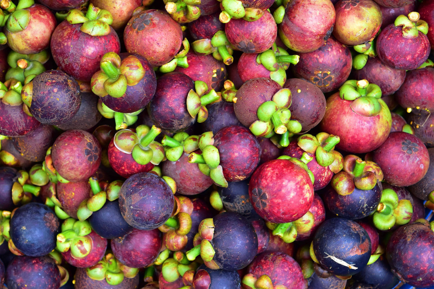 9 Sebab untuk Anda Makan Manggis