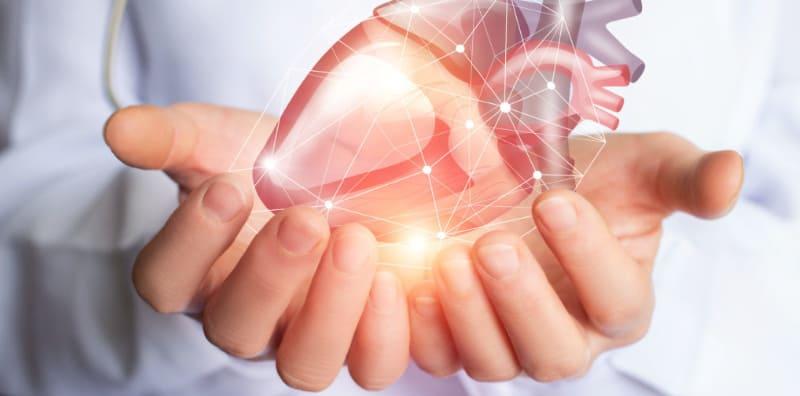 Fungsi Organ Jantung Yang Kita Mungkin Tidak Tahu Jika Bukan Kerana Artikel Ini!