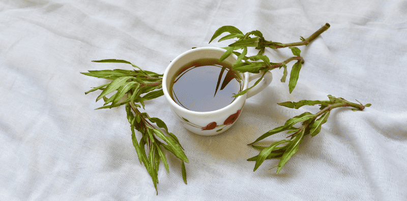 Wanita Yang Mengalami Anemia Patut Cuba 5 Herba Ini, No.5 Paling Terbaik!