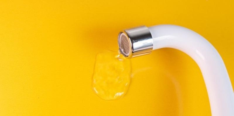 Tip Untuk Menghadapi Masalah Inkontinen Urin, Orang Tua Kena Baca Ini!