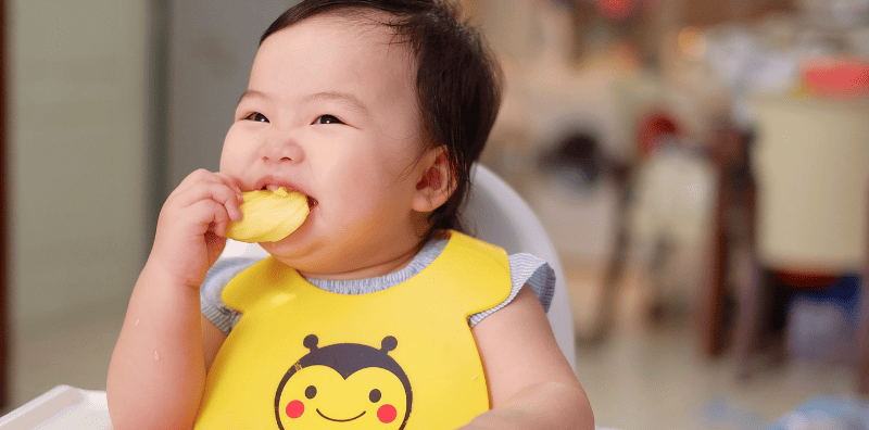 3 Jenis Makanan Yang Bagus Untuk Bayi Usia 1-2 Tahun, Makin Bijaklah Mereka Nanti!