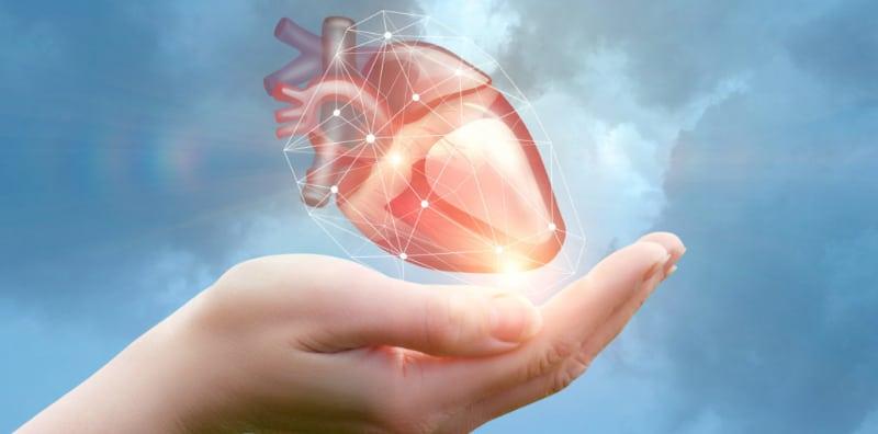 Jom Belajar 5 Fakta Menarik Tentang Jantung Manusia! #3 Memang Tak Sangka