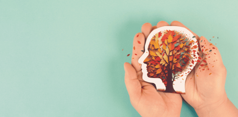 Ubat Anti-Demensia, Meredakan Simptom Tingkah Laku Dan Psikologi Demensia