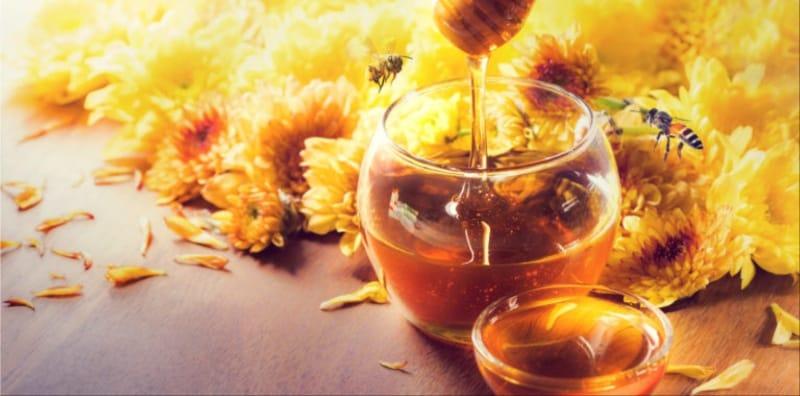 Madu Lebah Tawar Banyak Manfaat Kesihatan, Terutama Terhadap Organ Jantung?