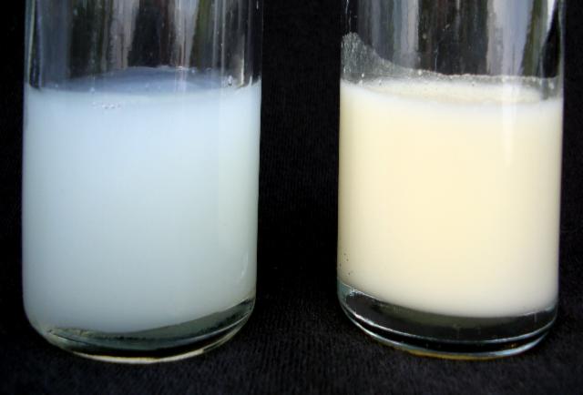 Toksin di dalam Susu Ibu