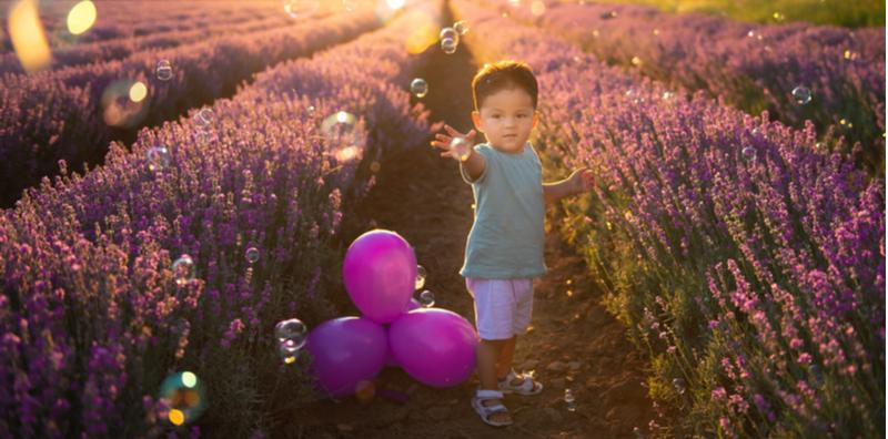 Adakah Minyak Daun Teh Dan Minyak Lavender Selamat Untuk Kanak-kanak?