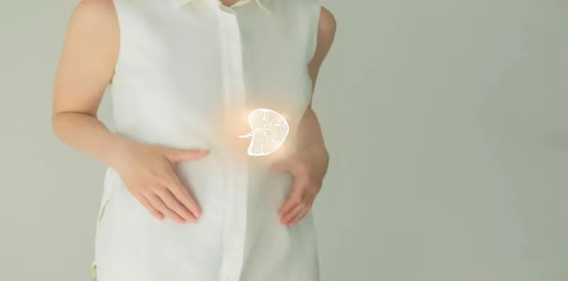 Jangan Pandang Rendah Fungsi Limpa Dalam Tubuh! Ini 3 Peranan Pentingnya