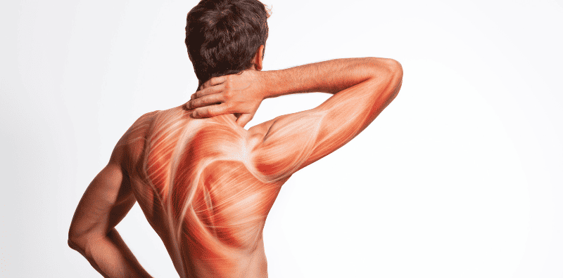 Bagaimana Menghadapi Kelemahan Otot Yang Kronik?