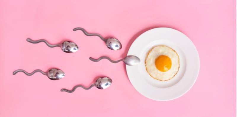 7 Fakta Penting Tentang Proses Ovulasi, Orang Perempuan Kena Faham & Ambil Tahu!