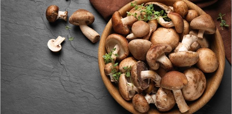 Tak Sangka Dengan Cendawan Boleh Buat Kulit Cerah & Hindari Risiko Jerawat!