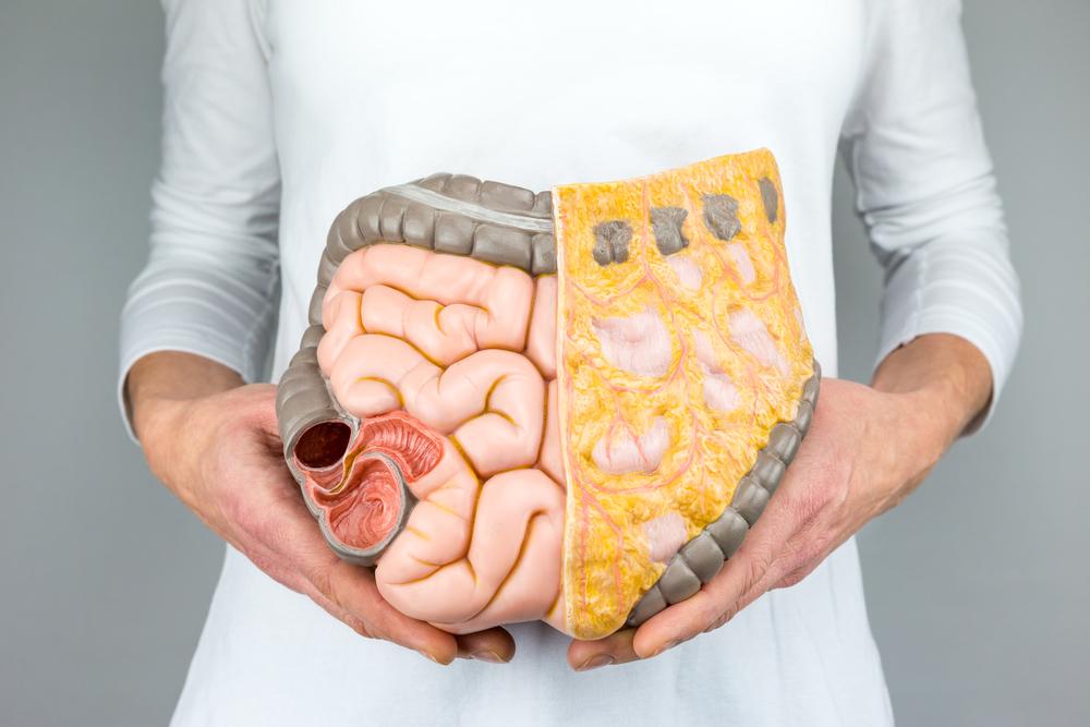 Your Gut Bacteria Might Be The Cause of Your Joint Pain