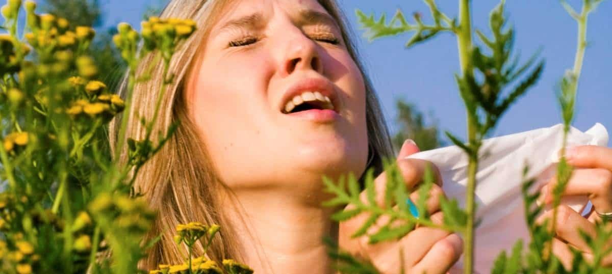 Apa Yang Anda Perlu Tahu Mengenai Asma Alahan