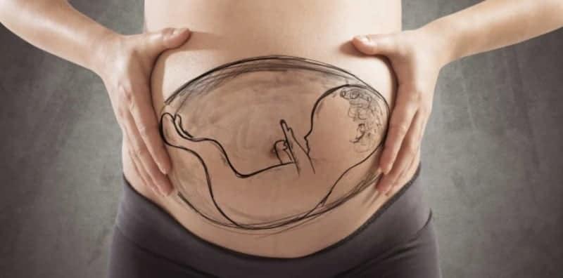 Makan Uri Untuk Sihat, Adakah Ini Satu Idea Baik @ Mitos Yang Tak Masuk Akal?