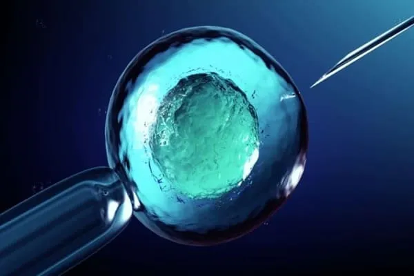 ivf gagal