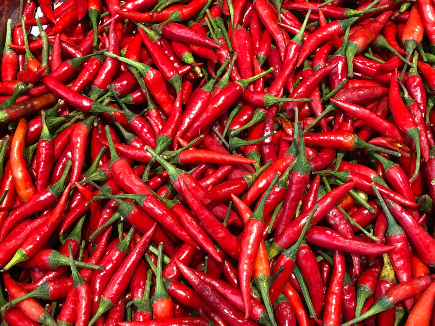 Cili: Bagaimana Ianya Mempengaruhi Kesihatan Anda