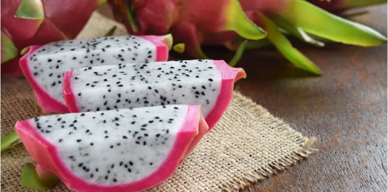 Tak Sangka Buah Naga Memiliki Banyak Khasiat, Salah Satunya Meningkatkan Sistem Imun Badan