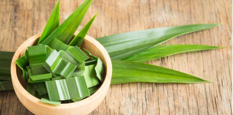 Daun Pandan Bukan Sekadar Pewangi Makanan, TAPI Ada 14 Kebaikan Yang Mungkin Anda Tak Tahu