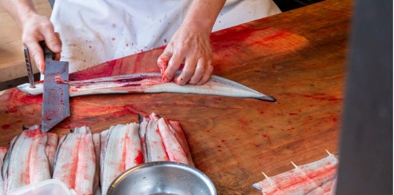 Patut Ramai Suka Makan Belut, Rupanya Banyak Khasiat Boleh Dapat Dari Ikan Jenis Ini