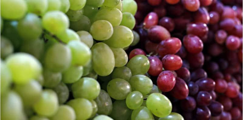 10 Manfaat Makan Buah Anggur, Salah Satunya Mencegah Pertumbuhan Kanser & Banyak Lagi!