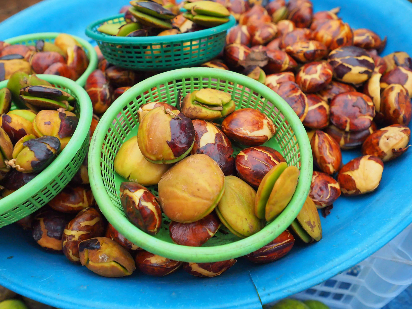 Jering dan Kandungan Asid Djenkolik yang Dimilikinya