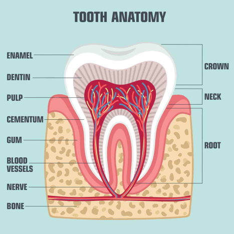 Gigi Kuning 'Mencacatkan' Penampilan? Ini Cara Atasinya