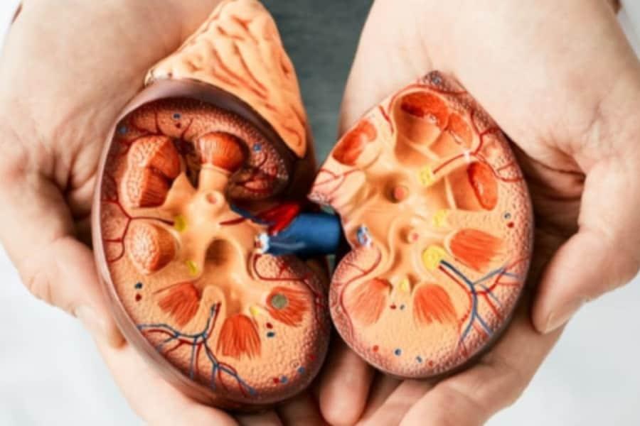 Nak Jaga Buah Pinggang Agar Kekal Sihat? Ikut 9 Tip Penjagaan Ini