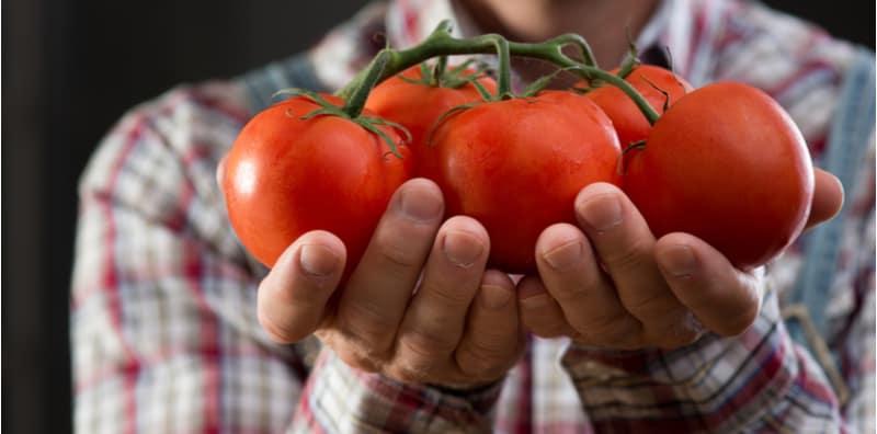 Ini Rahsia Sperma Lebih Subur & Berkualiti, Jadi Lelaki Kena Makan Banyak Tomato!