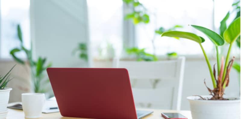 Ini Sebab Mengapa Anda Perlu Letak Pokok Berhijau Di Meja Kerja, Barulah Terasa Ringan OTAK!