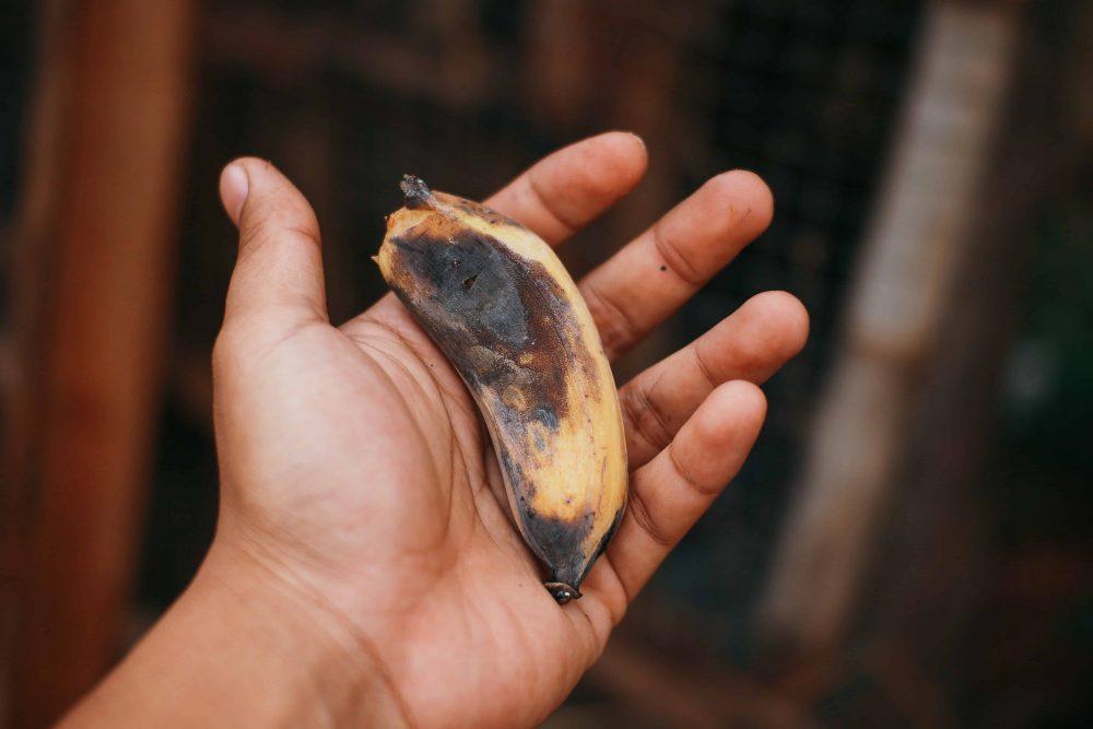 Zakar Ungu, Apa Sebab Kondisi MEMBIMBANGKAN Ini Berlaku Kepada Lelaki?