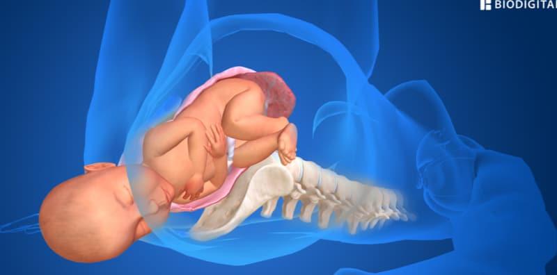 Alamak! Tarikh Bersalin Dah Dekat, Apa Persediaan Ibu Hamil Di Saat Pandemik COVID-19?