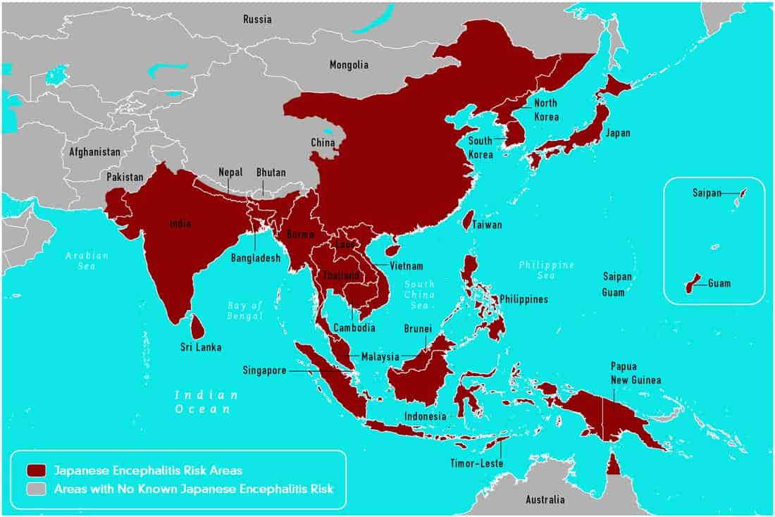 penyakit japanese encephalitis